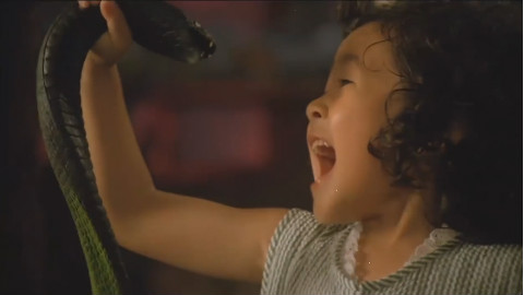 奇葩小孩拿毒蛇做宠物,还说它的胆子太小,不能被吓着!